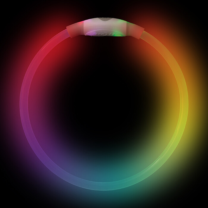 2054554086
